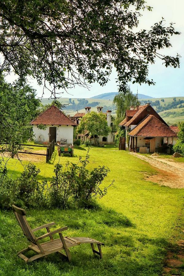 Count Kalnoky'S Transylvanian Guesthouses Miclosoara Eksteriør billede