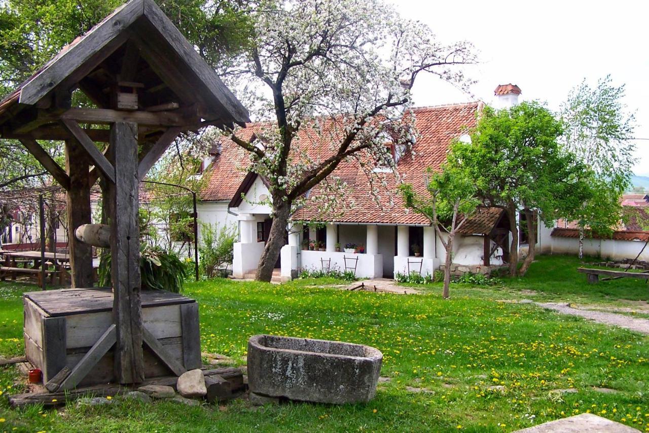 Count Kalnoky'S Transylvanian Guesthouses Miclosoara Eksteriør billede