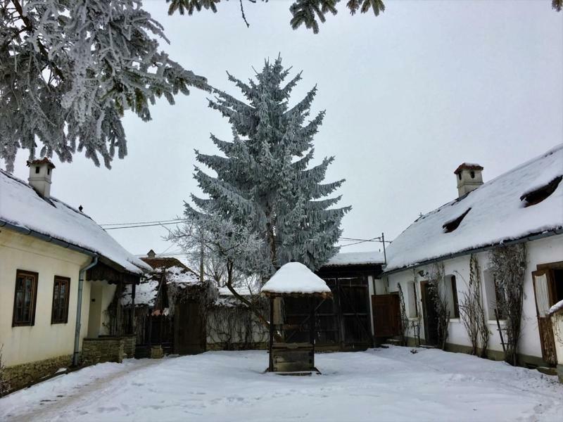 Count Kalnoky'S Transylvanian Guesthouses Miclosoara Eksteriør billede